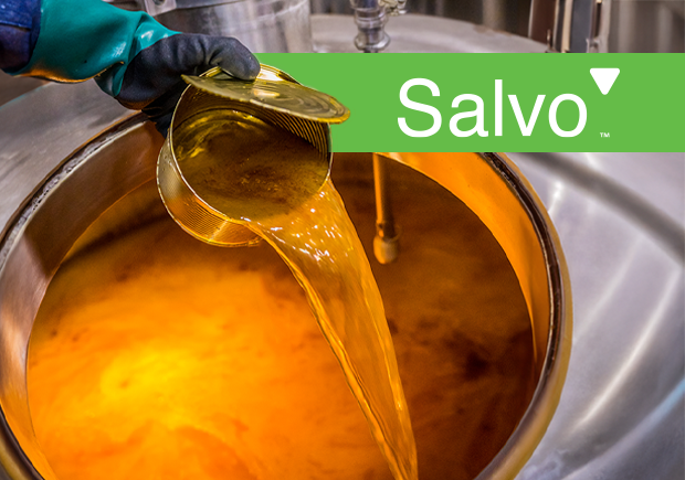 Salvo_CA landing page